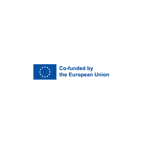 Co-funded by the European Union